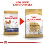 BHN-Chihuahua-CV-Eretailkit-4_Med.Res.Basic_222620