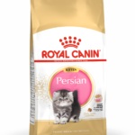 FBN2016_PACKSHOT_PERSIAN_KITTEN_Med._Res.___Basic