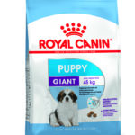 PACKSHOT-PUPPY-GIANT_SHN17-29pc