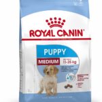 PACKSHOT-PUPPY-MEDIUM_SHN17_Med.Res.Basic