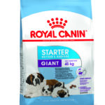 PACKSHOT-STARTER-GIANT_SHN17-29pc