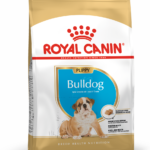 PU_BULLDOG_PACKSHOT_BHN18_Med._Res.Basic
