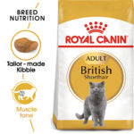 RC-FBN-BritishSH-MV-Eretailkit_Med.Res.Basic_199997