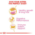 RC-FBN-KittenPersian-CV-EretailKit-3﻿