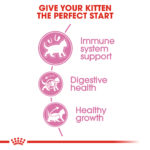 RC-FHN-Kitten-CV-EretailKit-2﻿