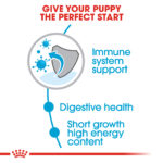 RC-SHN-PuppyMedium-CV-EretailKit-2﻿