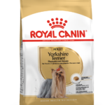 YORKSHIRE_TERRIER_ADULT-PACKSHOT-RUSSIE-BHN20_Med.Res.Basic