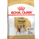 1-AD_BEAGLE_PACKSHOT_BHN18_High_Res.Print_62778.png