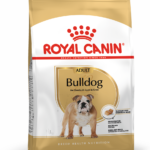AD_BULLDOG_PACKSHOT_BHN18_Med.Res_.Basic_-1.png