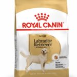 AD_LABRADOR_PACKSHOT_BHN18-preview_1_62796.jpg