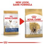 BHN-FrenchBulldog-CV-Eretailkit-4_Med._Res.___Basic_223278.jpg
