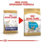 BHN-PuppyChihuahua-CV-EretailKit-6_Med.Res_.Basic_200230.jpg