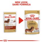 BHN-Wet-Dachshund-CV-Eretailkit-4_Med.Res_.Basic_222418-2.jpg