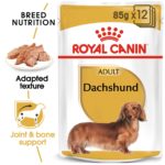 BHN-Wet-Dachshund-MV-Eretailkit_Med.Res_.Basic_222421-2.jpg