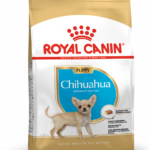 PU_CHIHUAHUA_PACKSHOT_BHN18_Med._Res.Basic_.png