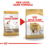 RC-BHN-Beagle-CV-Eretailkit-4﻿.jpg