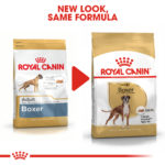 RC-BHN-Boxer-CV-Eretailkit-4﻿.jpg
