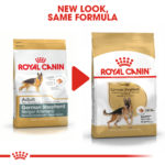 RC-BHN-GermanShepherd-CV-Eretailkit-4﻿-1-1-2-1-1-1-1-1-1.jpg