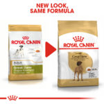 RC-BHN-GreatDane-CV-Eretailkit-4﻿.jpg