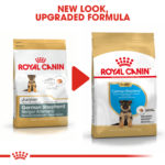 RC-BHN-PuppyGS-CV-EretailKit-6﻿-1-1-1.jpg