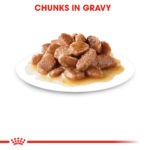 RC-FHN-Wet-Instinctive7Gravy-CV-Eretailkit-3﻿-1-1.jpg