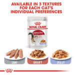 RC-FHN-Wet-InstinctiveJelly-CV-Eretailkit-5﻿.jpg