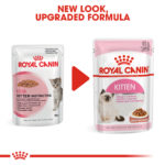 RC-FHN-Wet-KittenInstinctiveGravy-CV-Eretailkit-6﻿-1.jpg