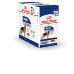 SHN18_MAXI-ADULT_S_BOX-C_Med.Res_.Basic_65810-1-1.png