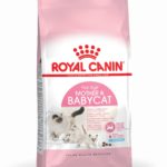 packshot_2016_FHN_DRY_Mother_Babycat_5_1_jpeg_150-1-1-1-1-1.jpeg