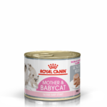 mother-babycat-mousse